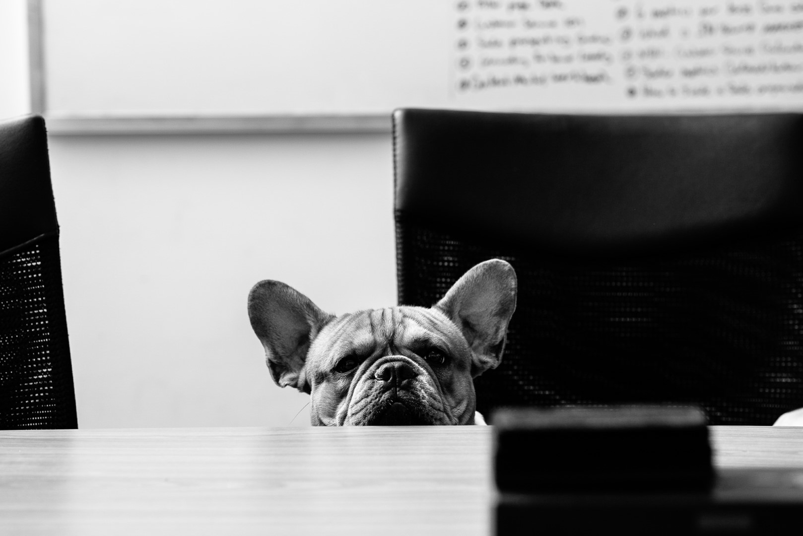 Top 25 Social Media Advertising Strategies | Neighbourhood